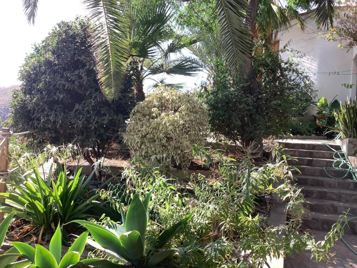 דירות Albunol Cortijo De La Fuente מראה חיצוני תמונה