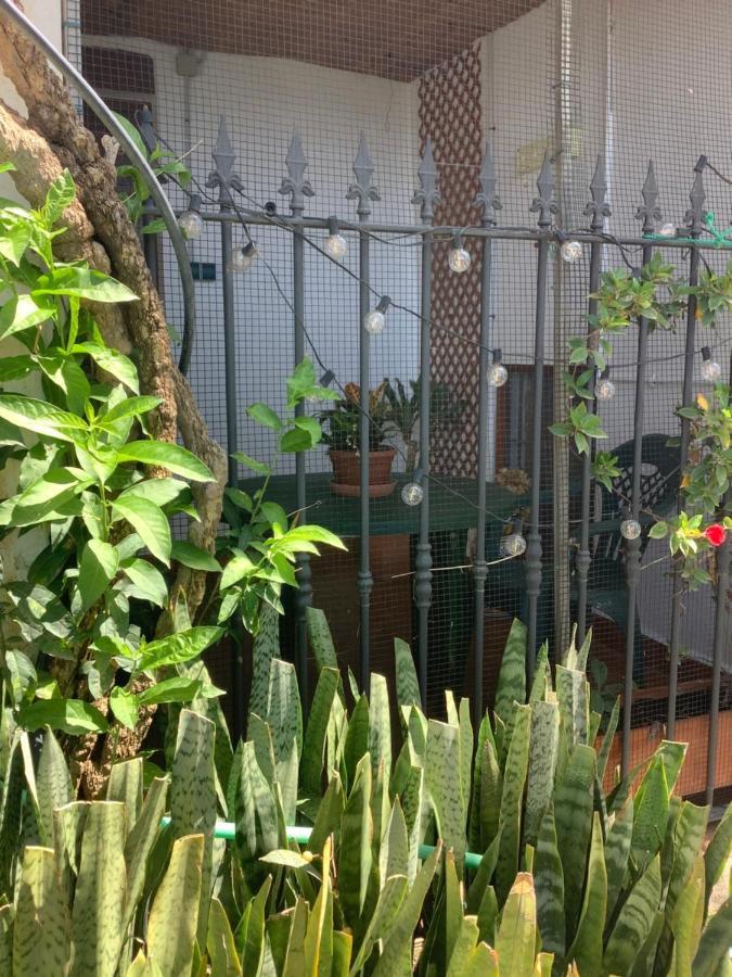 דירות Albunol Cortijo De La Fuente מראה חיצוני תמונה